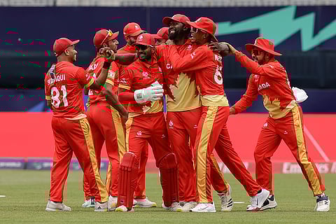 Canada players celebrate Curtis Campher's wicket